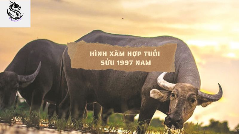 hình xăm hợp tuổi sửu 1997 nam