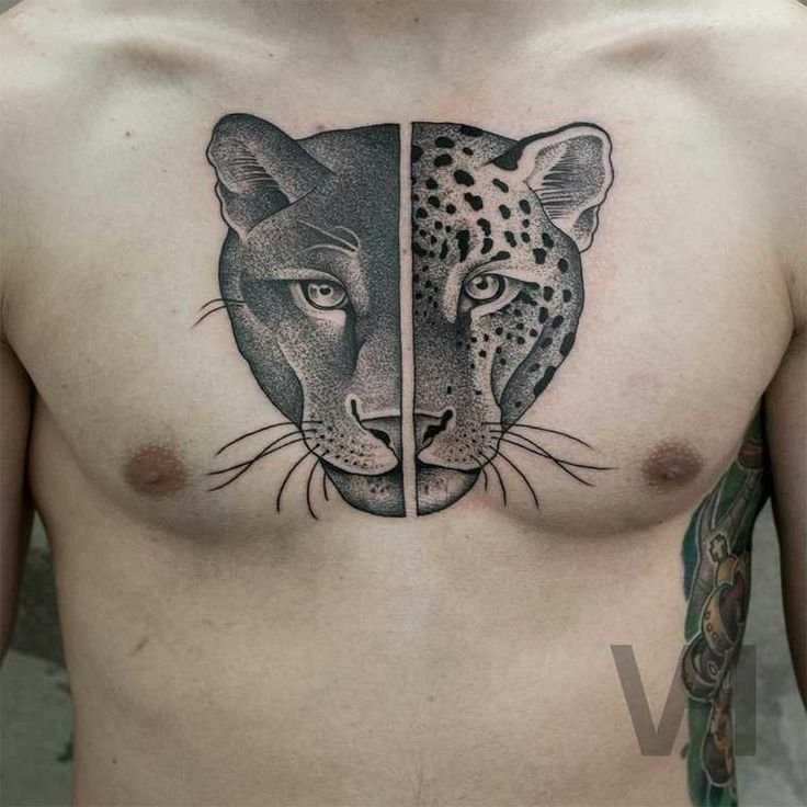 Hình xăm đầu báo đen và báo đốm, phong cách blackwork, nằm trên ngực, chi tiết rõ nét, ảnh HD.