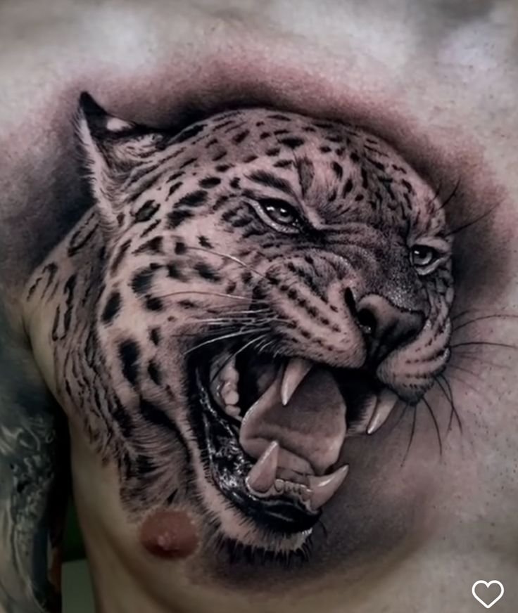 Hình xăm báo gầm trên ngực, phong cách blackwork chi tiết, độ phân giải HD.