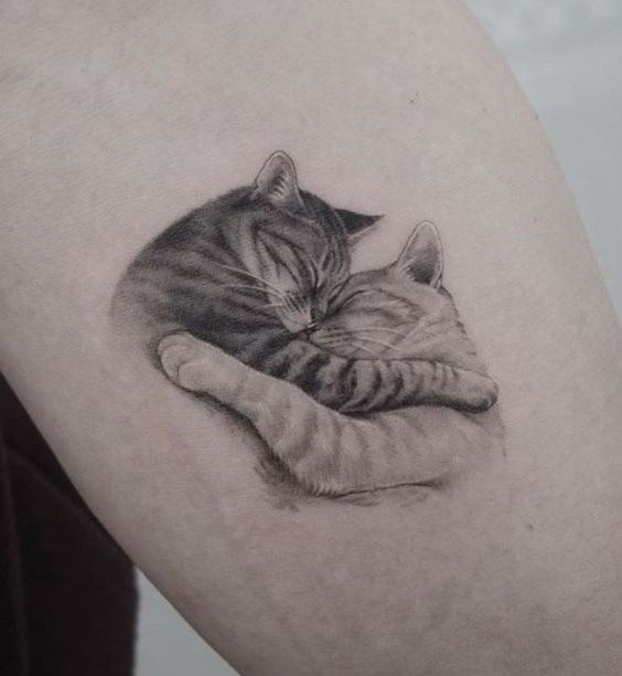 Hình xăm mèo ôm nhau trên tay, phong cách blackwork, chi tiết rõ nét, độ phân giải HD.