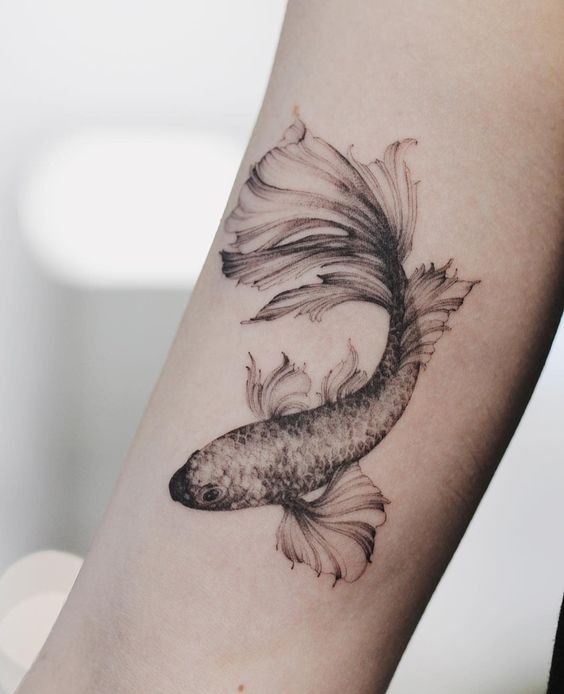 Hình xăm cá trên tay phong cách blackwork chi tiết, độ phân giải HD.