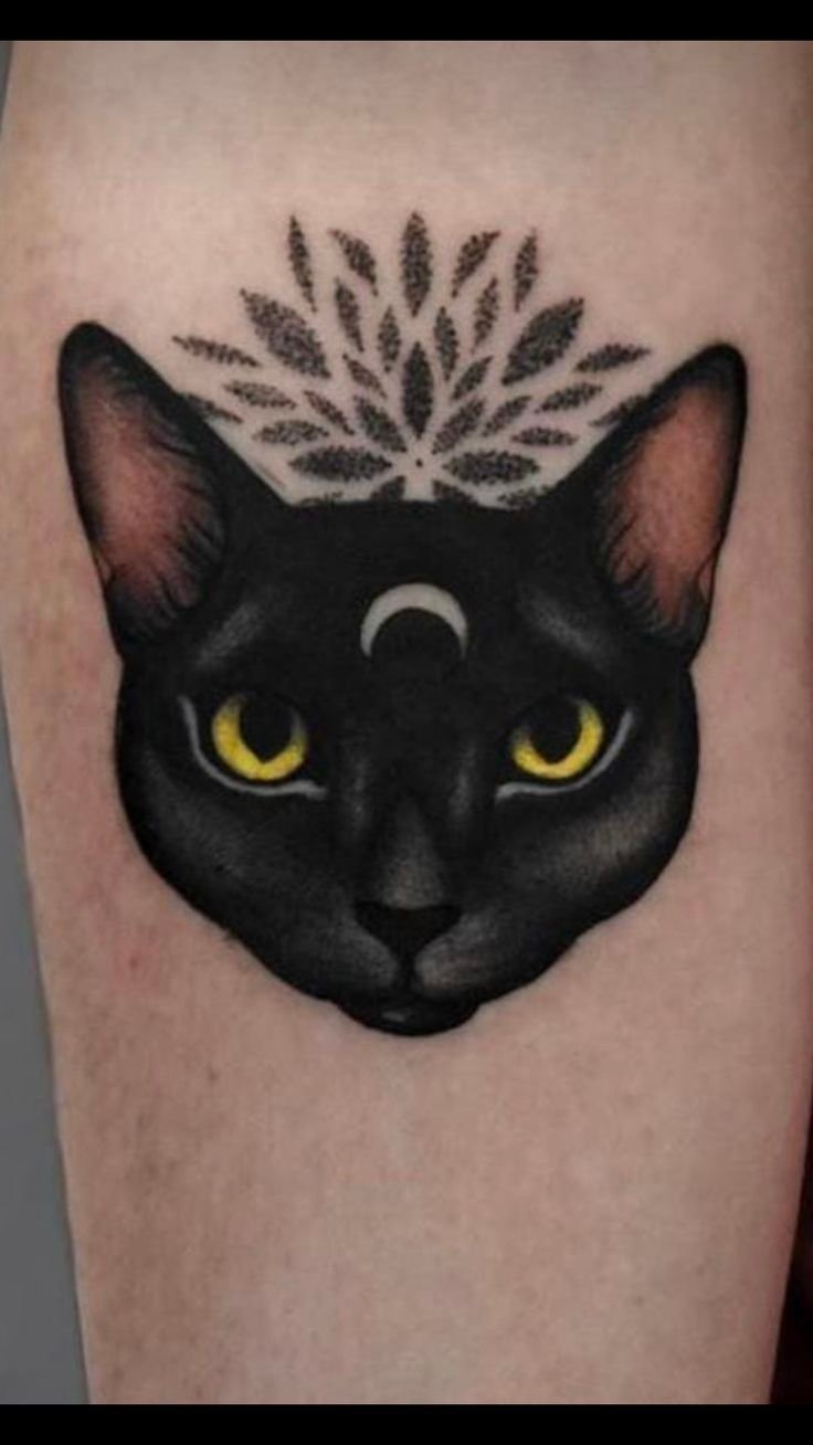Hình xăm mèo đen phong cách blackwork trên cánh tay, chi tiết sắc nét, độ phân giải HD.